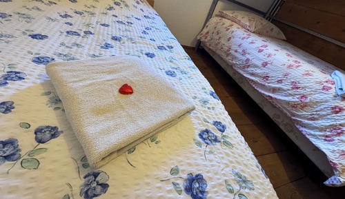 Basic Triple Room, 1 Bedroom, Mountain View, Mountainside