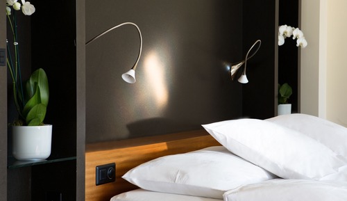 Nescens Junior Suite