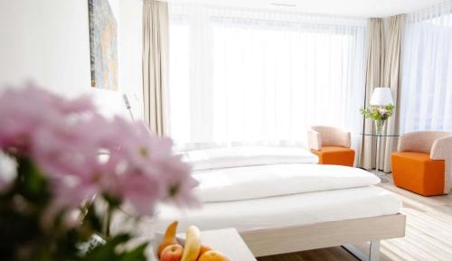 Superior Twin Room with Mountain View