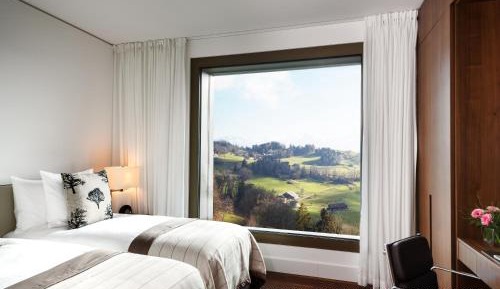 Contemporary Family Suite