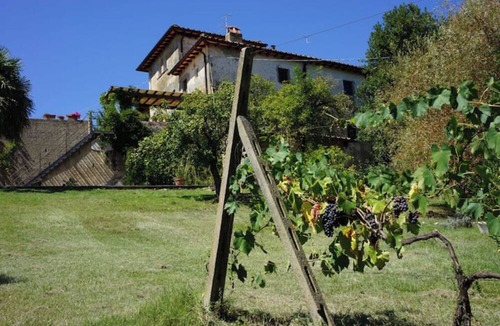 San Pietro in Bossolo Apartment | Apartment 'Polvereto Relax Con Piscina Privata' with Private Pool, Private Terrace and Wi-Fi