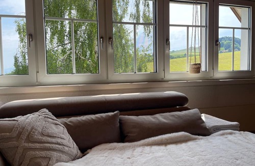 Heiden Apartment | Wartheim by Interhome