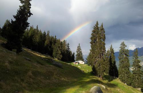 Fiesch Ski Chalet | Alphütte Bielerchäller