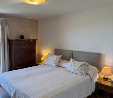Anzere Apartment | Domaine des Alpes 1 appartement au centre d Anzere