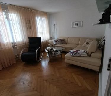 Meilen District Apartment | Apartment on 2 floors