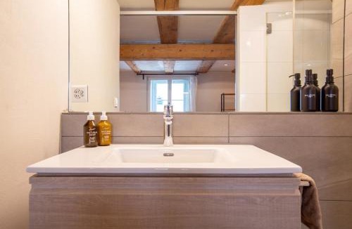 Horgen District Apartment | Designer Industrial Loft on Lake Zurich