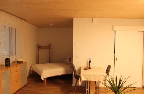Zuchwil Apartment | Ruhiges, schönes Studio in Zuchwil
