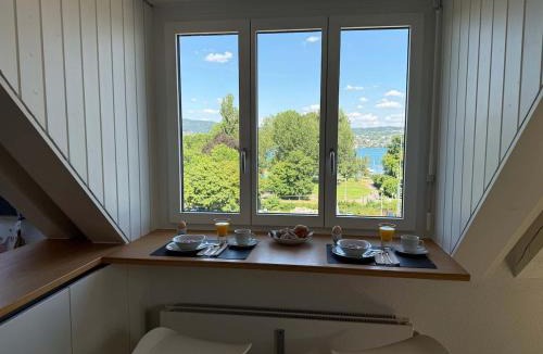 District 2 Apartment | Lake Zurich Attic with Parking and View