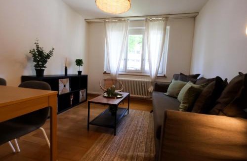Albisrieden Apartment | Comfortable Home in Zürich Altstetten