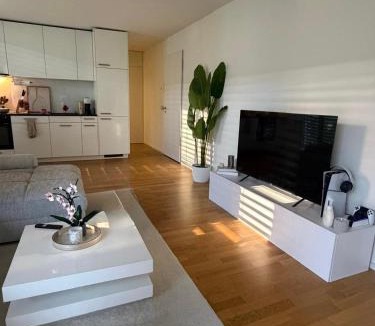 Basel City Centre Apartment | Modern apartment in Basel, 10 minutes from Messeplatz