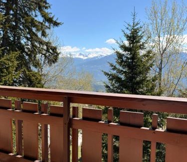 Anzere Ski Chalet | Chalet L'Arzette à Anzère à 2 pas du centre avec magnifique vue sur les montagnes