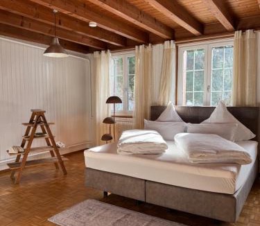 Glarus Sued Apartment | Schweizerhaus Glarus - Historisch & Stilvoll mit Garten