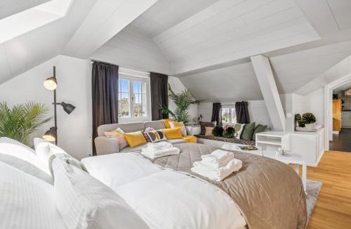 Old Town Apartment | Old Town Zurich Penthouse Rooftop Terrace AC