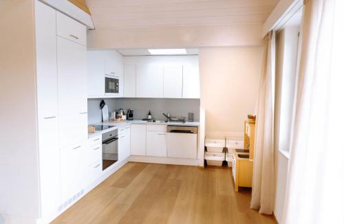 Kuessnacht Apartment | SOLUNA STAY I Lakefront I Luzern I Family I Pilatus I Swiss Alps I Panoramic View I Free Parking