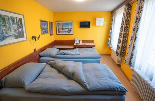 Frauenfeld Hotel | Gasthof zum Falken