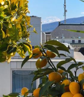 Downtown Geneva Apartment | Sunny Terrace Oasis with Mont Blanc View in Central Geneva