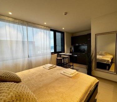 Beinwil am See Apartment | Studio am See