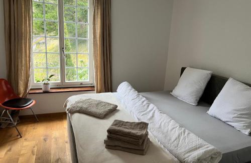 Spreitenbach Apartment | Studio im Naturschutzgebiet