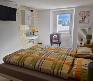 Airolo Hotel | Ristorante Airö - Local food & Steak house - Rooms to rent