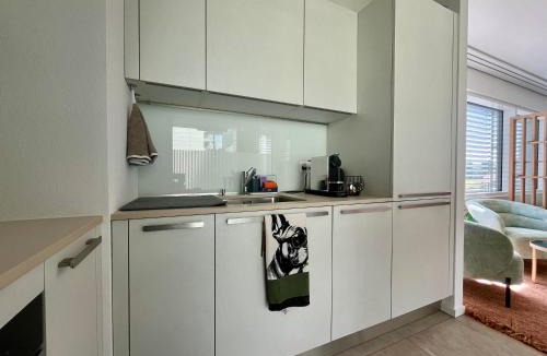 Chavannes-pres-Renens Apartment | Studio Horizon Dorigny