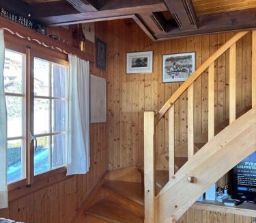 Ormont-Dessus Ski Chalet | Chalet familial Rose de Noël