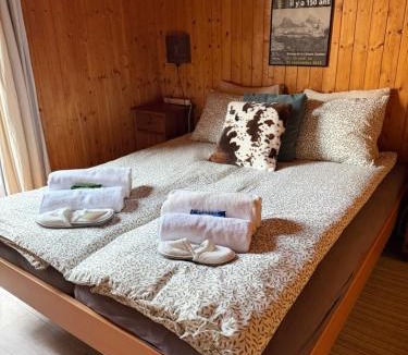 Saclentse Ski Chalet | Chalet Opalpin Lodge & Spa, vue montagne et jacuzzi