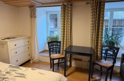 Waldenburg House | 18th C Cottage near Basel, Hiking, Business, Couples, Families, Groups, Parking, Fast WiFi, Jura Mountains