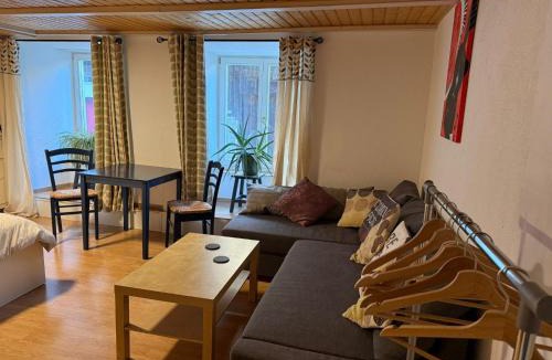 Waldenburg House | 18th C Cottage near Basel, Hiking, Business, Couples, Families, Groups, Parking, Fast WiFi, Jura Mountains
