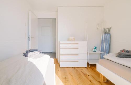 Einigen Apartment | Apartment Jungfrau near lake and mountain
