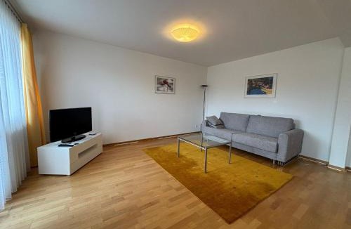Muhlebach Apartment | Spacious 1BR near Opera and Lake - Mill 5 43