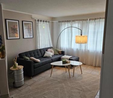 Tegerfelden Apartment | Tegerfelden Weinregion