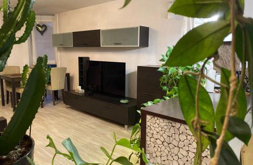 Monthey Apartment | Mountain View