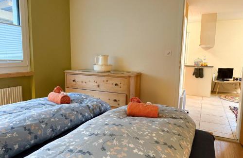 Alvaneu Apartment | Ferienwohnung auf Ziegenhof