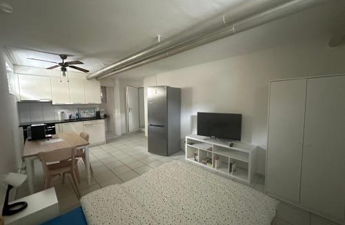 Wildegg Apartment | Studio-Wohnung 4