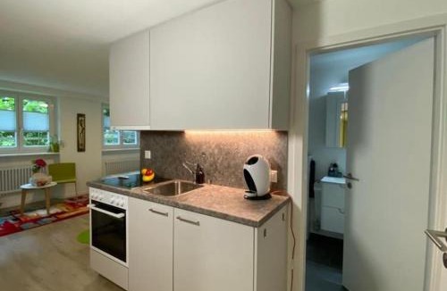 Visp Apartment | HEART Studio Visp Zentrum I ruhig I Single I Paare I Küche