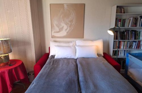 Leysin Apartment | Le Nid d'aigle apt 405 Leysin centre avec forfait piscine sauna jacuzzi en option