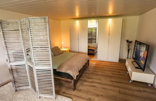 Rothrist Apartment | Wohnung mit Pool und Aussicht