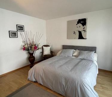 Matthaus Apartment | Schweiz (302)