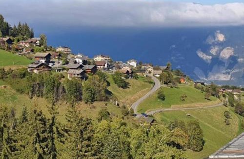 Vionnaz Apartment | Torgon Grand studio Confortable