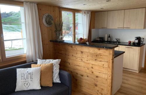 Mitloedi Apartment | Wies