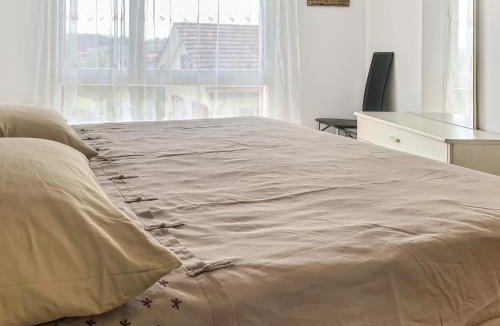 Hinwil House | Haus zur Lilie