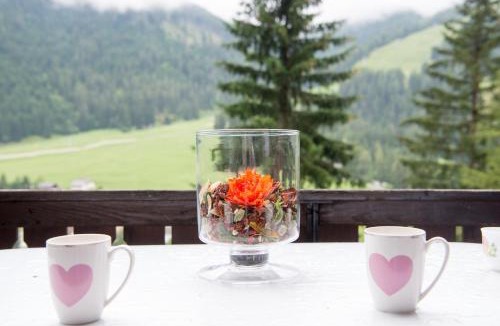 Churwalden Ski Chalet | Large chalet with panoramic views