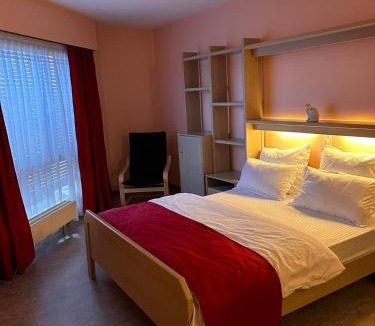 Vouvry Hotel | Hôtel EDIROL