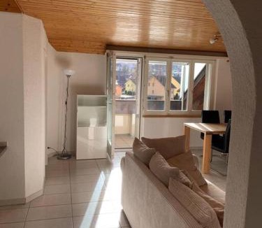 Pfaffikon District Apartment | Sunny private Apartment in an amazing valley