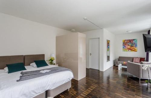 Pfaffikon District Hotel | Swiss Star Home
