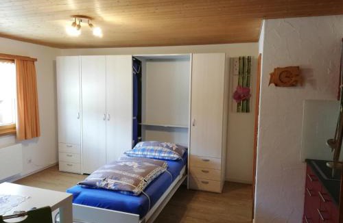 Sedrun Apartment | Ferienwohnung Casa Ursina
