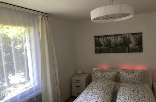 Lucerne Apartment | Lucerne O-Guetsch