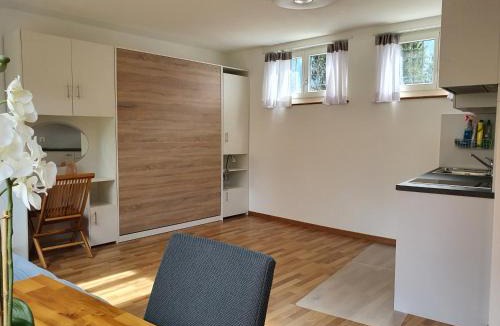 Central Interlaken Apartment | Interlaken Escape