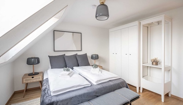 E-64 Duplex-3BDR apartment with Sky roof-Zurich West