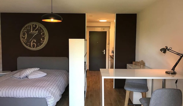 Large Studio Near Epfl And Lausanne City Center